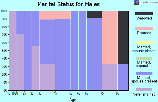 Sawyerville marital status for males