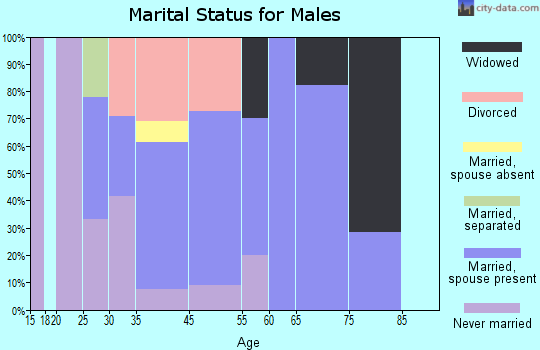 Scales Mound marital status for males