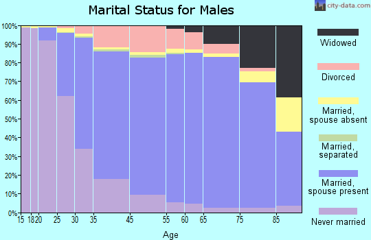Schaumburg marital status for males