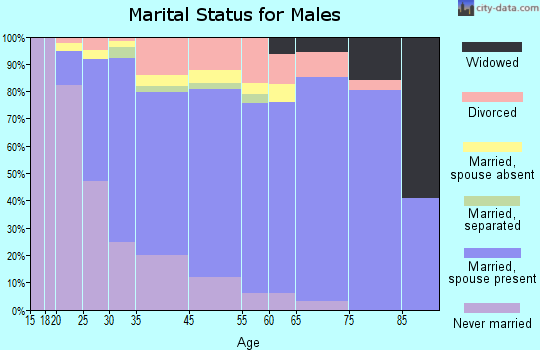 Schiller Park marital status for males