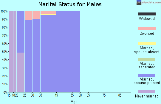 Scott AFB marital status for males