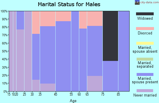 Seatonville marital status for males