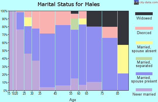 Shelbyville marital status for males