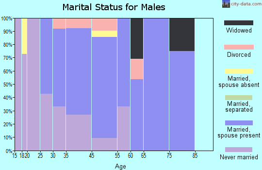 Sigel marital status for males