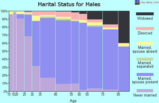 Skokie marital status for males