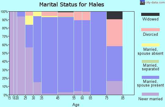 Sleepy Hollow marital status for males