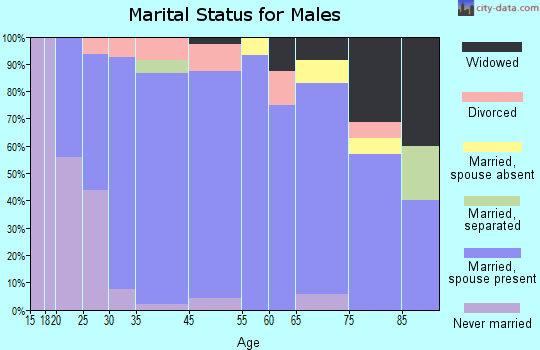 Somonauk marital status for males
