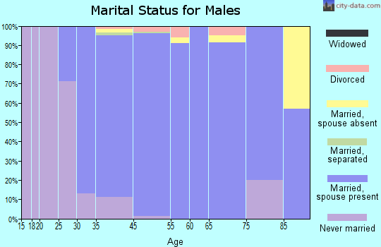 South Barrington marital status for males