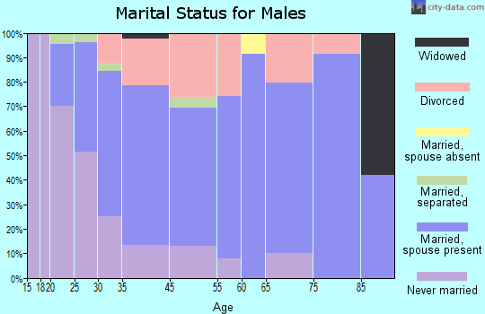 South Beloit marital status for males