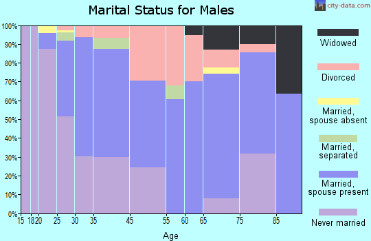 South Chicago Heights marital status for males
