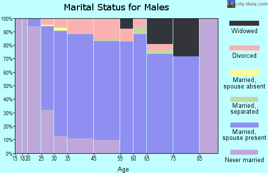 South Elgin marital status for males