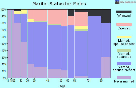 Southern View marital status for males