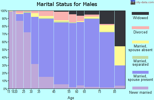 South Holland marital status for males