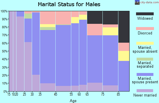Spring Valley marital status for males