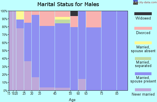 Stillman Valley marital status for males