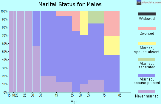 Stonefort marital status for males