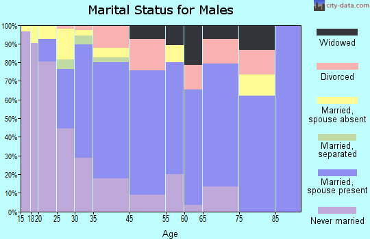 Stone Park marital status for males