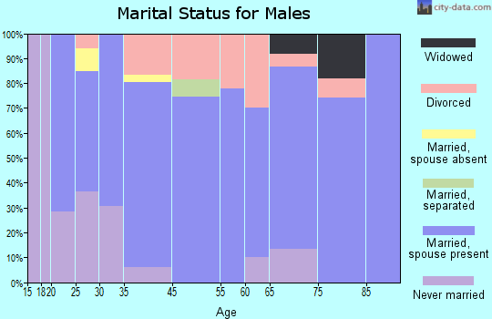 Stonington marital status for males