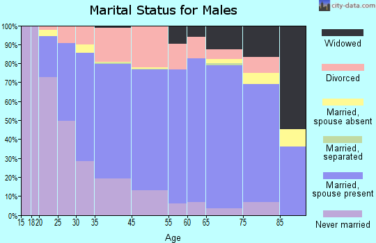 Streator marital status for males