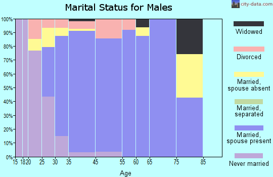 Sugar Grove marital status for males