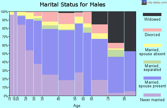 Summit marital status for males