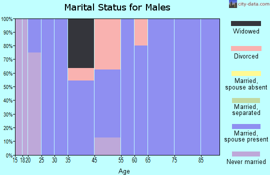 Thawville marital status for males