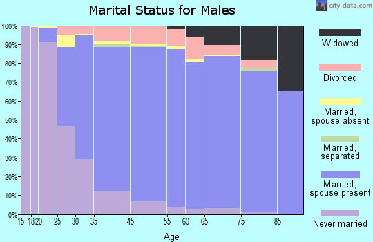 Tinley Park marital status for males