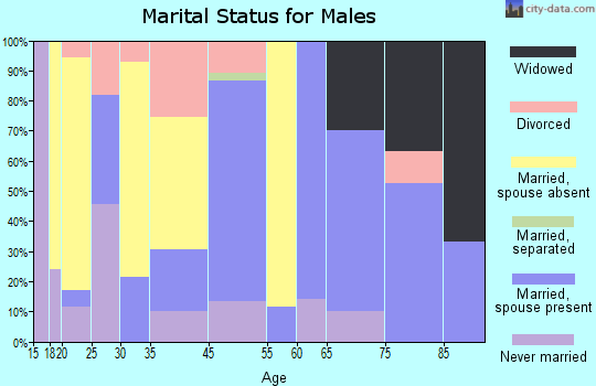 Ullin marital status for males