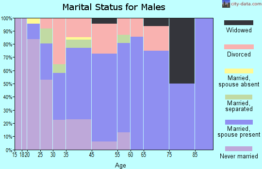 Houston marital status for males