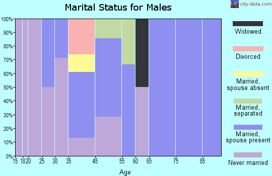 Huslia marital status for males