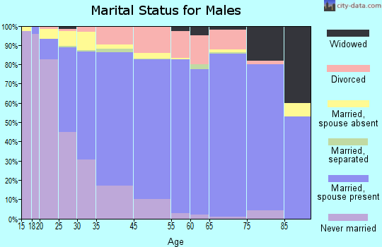 Villa Park marital status for males