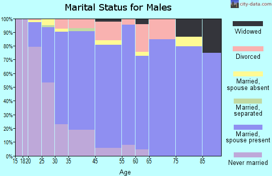 Warrenville marital status for males