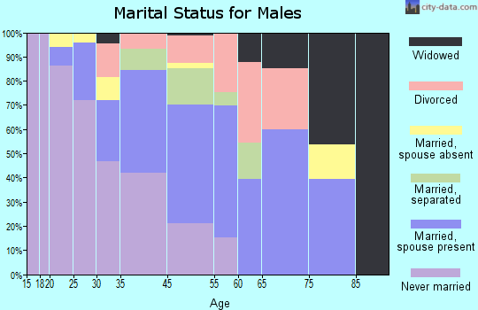 Washington Park marital status for males