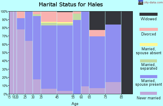 West Dundee marital status for males