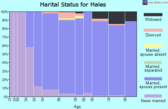 Western Springs marital status for males