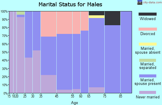 West Peoria marital status for males