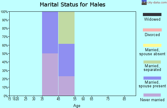 Ivanof Bay marital status for males