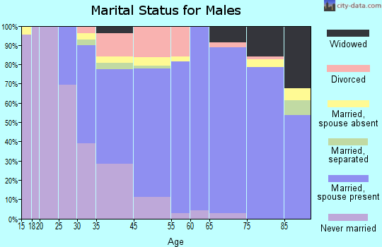 Willowbrook marital status for males