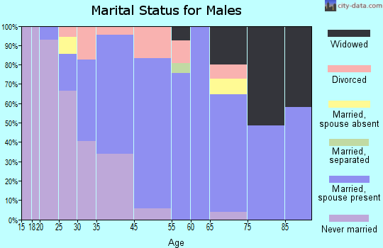 Willow Springs marital status for males