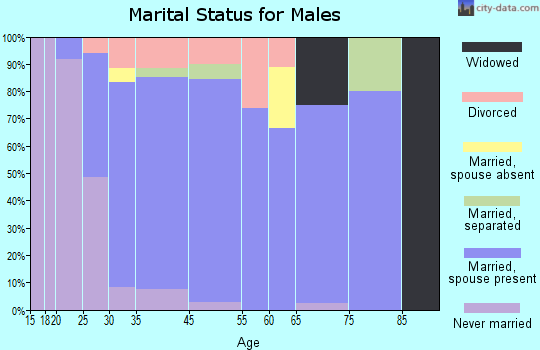 Wonder Lake marital status for males