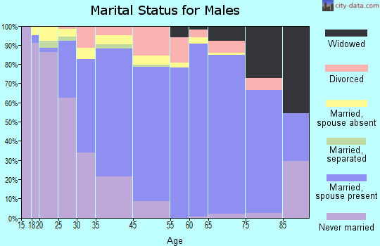 Wood Dale marital status for males