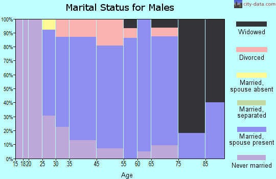 Worden marital status for males