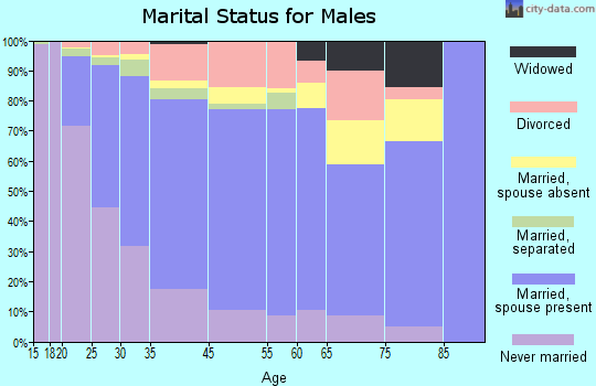 Zion marital status for males