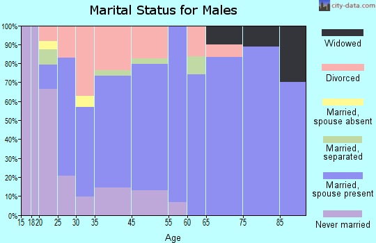 Andrews marital status for males