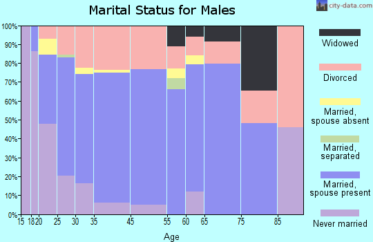 Austin marital status for males