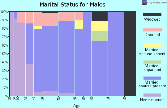 Battle Ground marital status for males