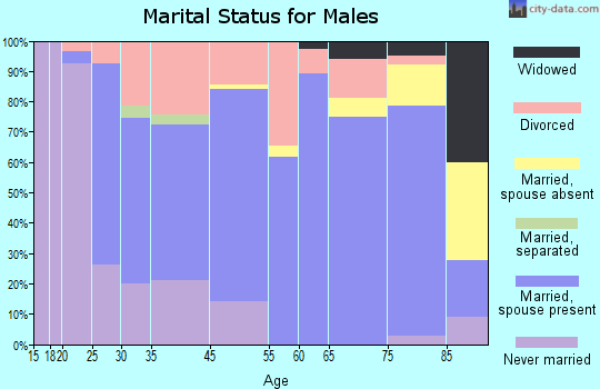 Beech Grove marital status for males