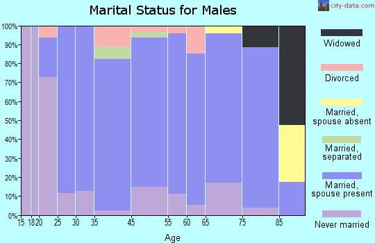 Berne marital status for males