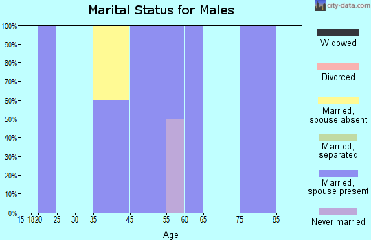 Kasaan marital status for males