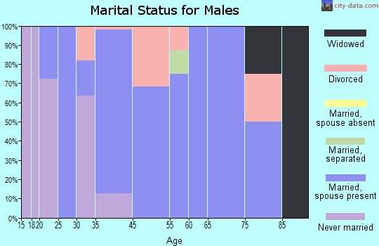 Birdseye marital status for males